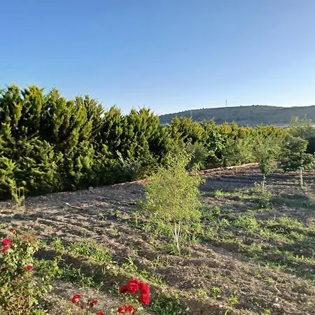 Meyve Bahceli Kirmizi Ev Holiday home *